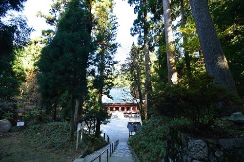 DSC_1937.jpg